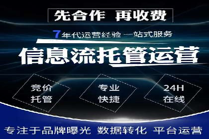 托管竞价sem案例分享：某电商平台的成功之路